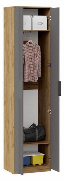 Шкаф платяной Хилтон Исп. 2 в Дегтярске - degtyarsk.mebel24.online | фото 3