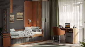 Шкаф платяной Хилтон Исп. 2 в Дегтярске - degtyarsk.mebel24.online | фото 5
