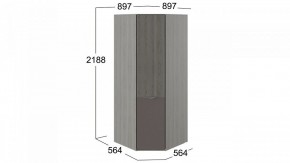 Шкаф платяной Либерти СМ-297.07.033 в Дегтярске - degtyarsk.mebel24.online | фото 3