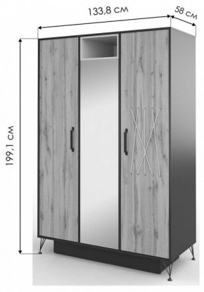 Шкаф платяной Нобира в Дегтярске - degtyarsk.mebel24.online | фото 3