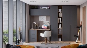 Шкаф платяной Порто СМ-393.07.223 в Дегтярске - degtyarsk.mebel24.online | фото 7