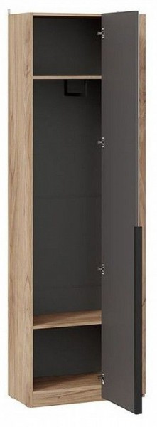 Шкаф платяной Порто СМ-393.07.232 в Дегтярске - degtyarsk.mebel24.online | фото 2