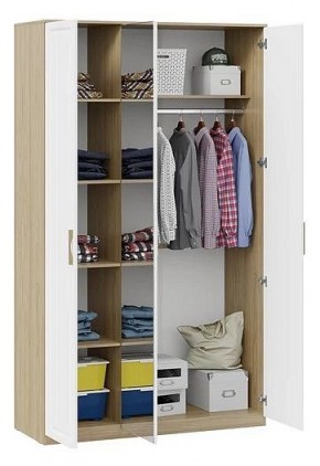 Шкаф платяной Сэнди в Дегтярске - degtyarsk.mebel24.online | фото 3