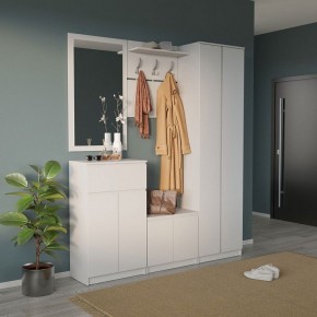 Шкаф платяной ШО-4 в Дегтярске - degtyarsk.mebel24.online | фото 6
