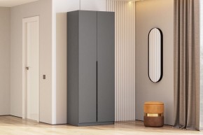 Шкаф ШК-5 + 2 полки (800) Графит серый в Дегтярске - degtyarsk.mebel24.online | фото 2