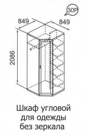 Шкаф угловой для одежды Ника-Люкс 30 без зеркал в Дегтярске - degtyarsk.mebel24.online | фото 3