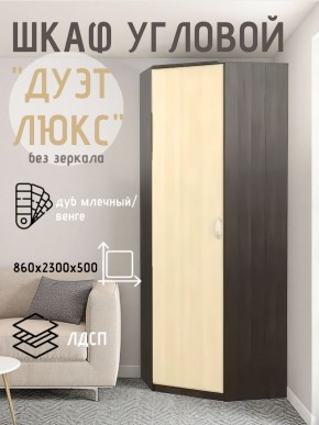 Шкаф угловой Дуэт Люкс без зеркала в Дегтярске - degtyarsk.mebel24.online | фото 3