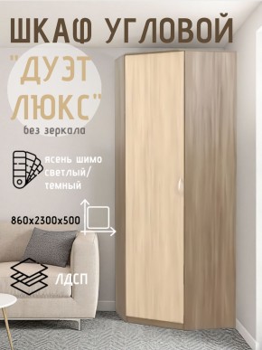 Шкаф угловой Дуэт Люкс без зеркала в Дегтярске - degtyarsk.mebel24.online | фото 7