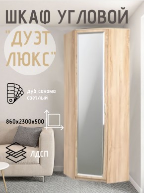 Шкаф угловой Дуэт Люкс с зеркалом в Дегтярске - degtyarsk.mebel24.online | фото