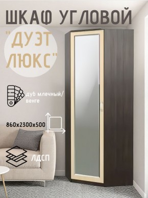 Шкаф угловой Дуэт Люкс с зеркалом в Дегтярске - degtyarsk.mebel24.online | фото 5