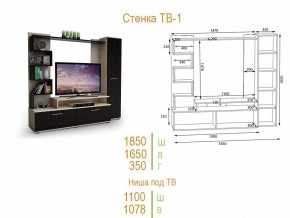 Стенка для гостиной ТВ-1 в Дегтярске - degtyarsk.mebel24.online | фото 2