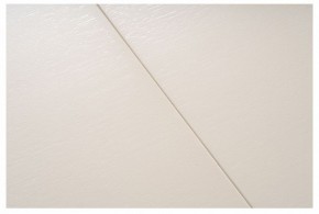 Стол обеденный Сугили в Дегтярске - degtyarsk.mebel24.online | фото 8