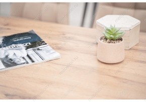 Стол обеденный Тринити Лофт 120 в Дегтярске - degtyarsk.mebel24.online | фото 6