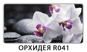 Стол раздвижной Бриз орхидея R041 Цветы R044 в Дегтярске - degtyarsk.mebel24.online | фото 4