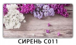 Стол раздвижной Трилогия с фотопечатью Лайм R156 в Дегтярске - degtyarsk.mebel24.online | фото 16