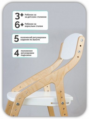 Стул Эверест в Дегтярске - degtyarsk.mebel24.online | фото 5