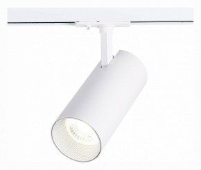 Светильник на штанге ST-Luce Mono ST350.536.30.36 в Дегтярске - degtyarsk.mebel24.online | фото 2