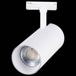 Светильник на штанге ST-Luce Mono ST350.536.30.36 в Дегтярске - degtyarsk.mebel24.online | фото 6