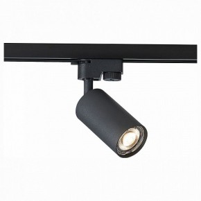 Светильник на штанге ST-Luce Solt ST300.406.01 в Дегтярске - degtyarsk.mebel24.online | фото 1