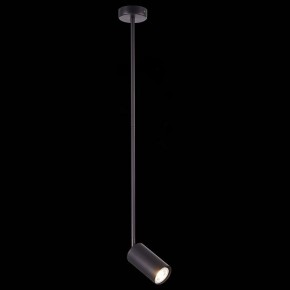 Светильник на штанге ST-Luce Sormano SL1206.403.01 в Дегтярске - degtyarsk.mebel24.online | фото 3