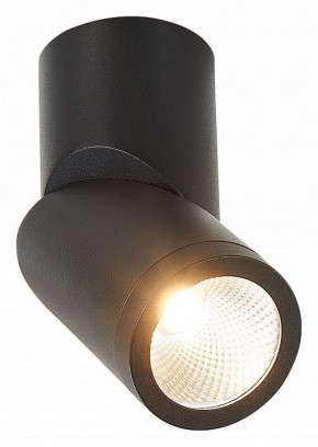 Светильник на штанге ST-Luce ST650 ST650.442.10 в Дегтярске - degtyarsk.mebel24.online | фото 2