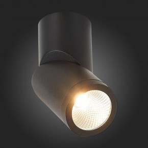 Светильник на штанге ST-Luce ST650 ST650.442.10 в Дегтярске - degtyarsk.mebel24.online | фото 6