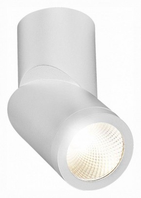 Светильник на штанге ST-Luce ST650 ST650.542.10 в Дегтярске - degtyarsk.mebel24.online | фото 3