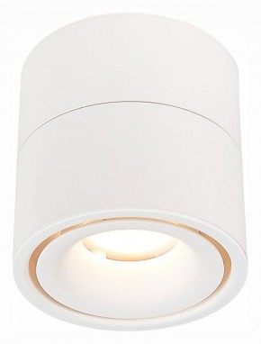 Светильник на штанге ST-Luce ST652 ST652.532.12 в Дегтярске - degtyarsk.mebel24.online | фото 2