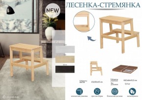 Табурет Стремянка в Дегтярске - degtyarsk.mebel24.online | фото 4