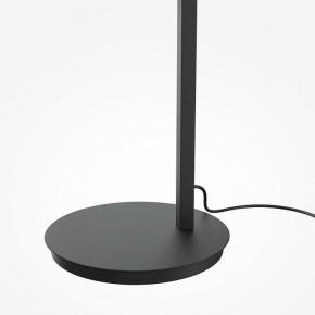 Торшер Maytoni Emphaty MOD363FL-L14B3K в Дегтярске - degtyarsk.mebel24.online | фото 5