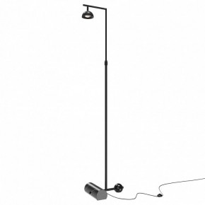 Торшер Maytoni Pikant MOD372FL-L10B3K в Дегтярске - degtyarsk.mebel24.online | фото