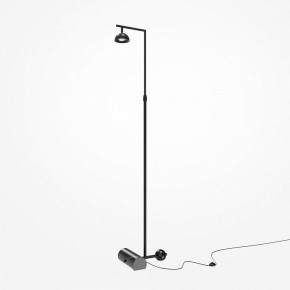 Торшер Maytoni Pikant MOD372FL-L10B3K в Дегтярске - degtyarsk.mebel24.online | фото 2