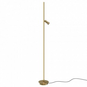 Торшер Maytoni Thin MOD395FL-L28BS3K в Дегтярске - degtyarsk.mebel24.online | фото