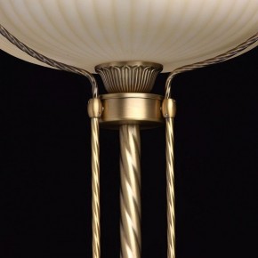 Торшер MW-Light Афродита 1 317040901 в Дегтярске - degtyarsk.mebel24.online | фото 6