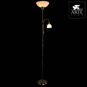 Торшер с подсветкой Arte Lamp Duetto A9569PN-2AB в Дегтярске - degtyarsk.mebel24.online | фото 3