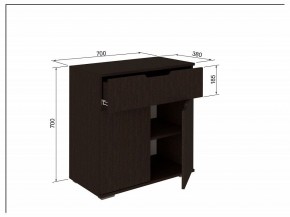 Тумба 2Я-03 в Дегтярске - degtyarsk.mebel24.online | фото 3