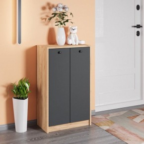 Тумба для обуви Рино в Дегтярске - degtyarsk.mebel24.online | фото 3