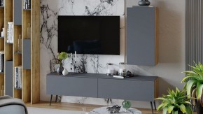 Тумба под ТВ Порто СМ-393.03.011 в Дегтярске - degtyarsk.mebel24.online | фото 5
