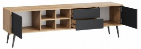 Тумба под ТВ Тип 5 в Дегтярске - degtyarsk.mebel24.online | фото 2