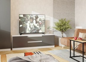 Тумба ТВ большая Парус (Белый/Графит) в Дегтярске - degtyarsk.mebel24.online | фото 2