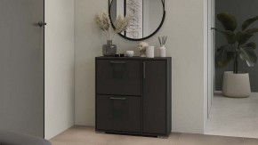 Тумбочка для обуви Тип 15 в Дегтярске - degtyarsk.mebel24.online | фото 5