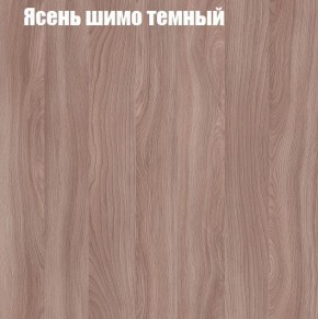 ВЕНЕЦИЯ Стенка (3400) ЛДСП в Дегтярске - degtyarsk.mebel24.online | фото 7