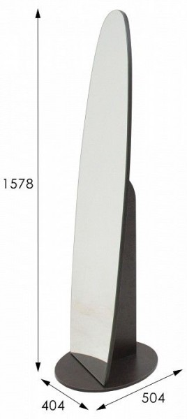 Зеркало напольное Стелла 1 в Дегтярске - degtyarsk.mebel24.online | фото 9