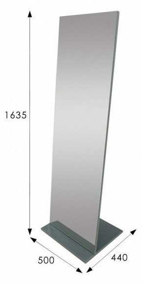 Зеркало напольное Стелла 2 в Дегтярске - degtyarsk.mebel24.online | фото 9